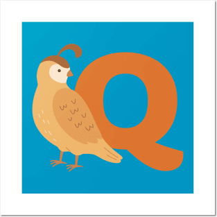 Animal alphabet Q Posters and Art